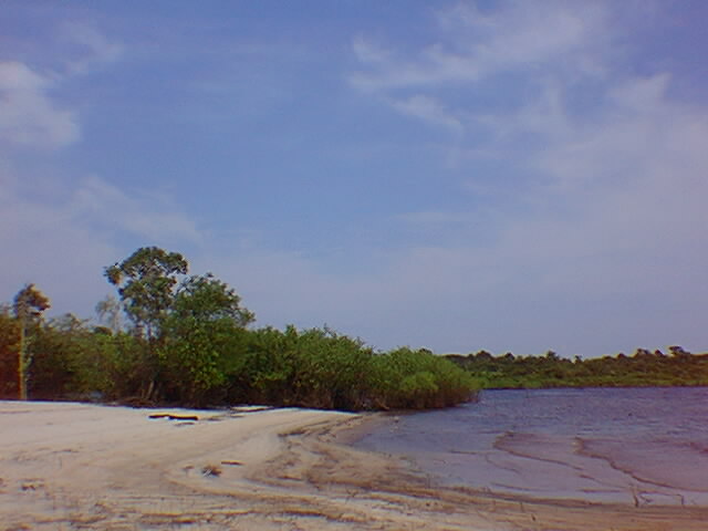 uma praia no Amazonas