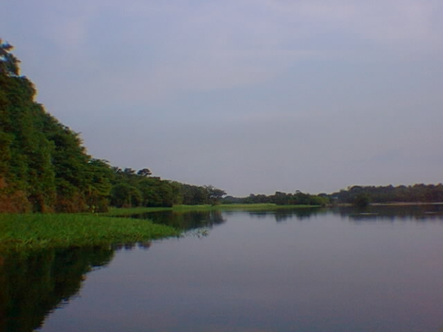 lago no Amazonas