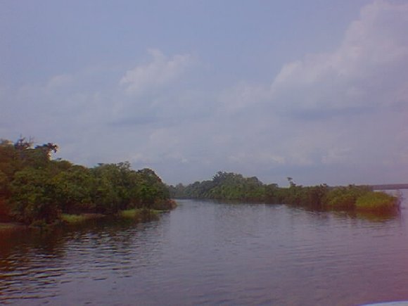 bifurcao no rio